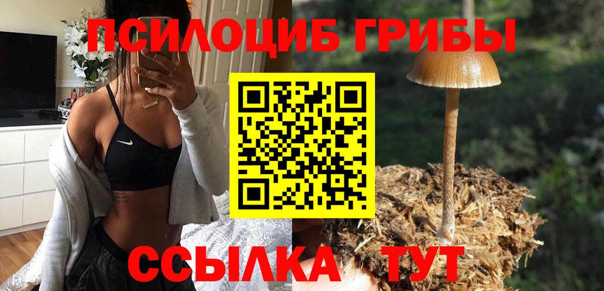 где можно купить   Псилоцибиновые грибы MAGIC MUSHROOMS  Вход с VPN  Малоярославец 