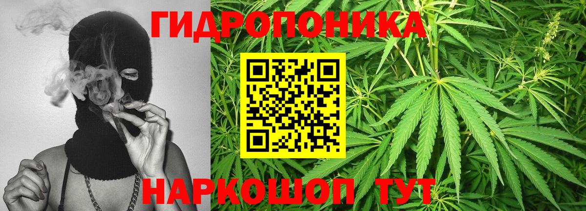 Марихуана сатива Малоярославец